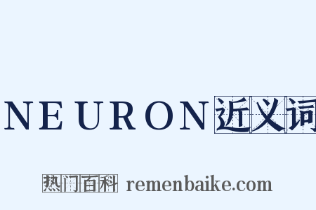 NEURON近义词是什么意思的图片